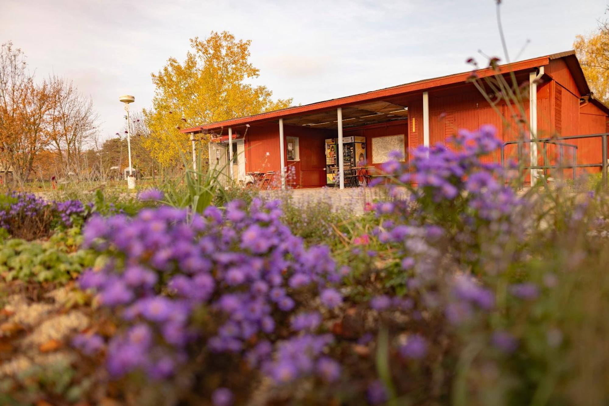 Prague Camping Dzban Exterior foto